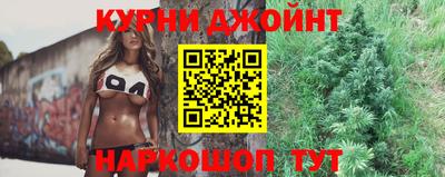 крисы Кулебаки