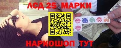 крисы Кулебаки