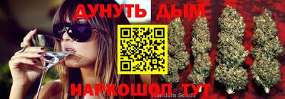 apvp Кунгур